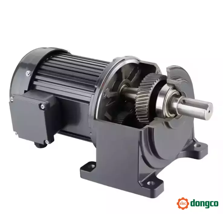 Small AC Gear Motor