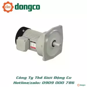 MÔ TƠ GIẢM TỐC LIMING SV