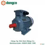 MÔ TƠ SGP CHÂN ĐẾ CÔNG SUẤT TỪ 0.1KW-315KW